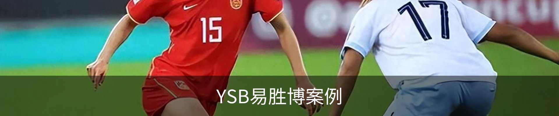 YSB易胜博案例